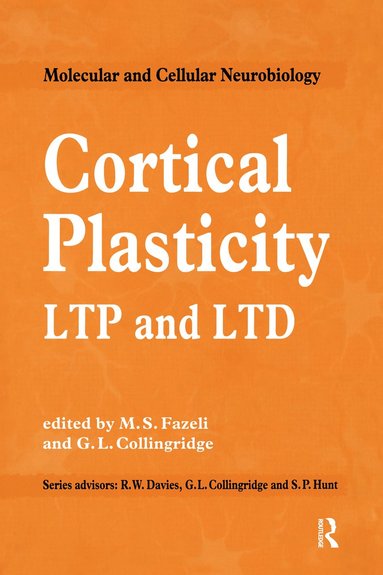 bokomslag Cortical Plasticity