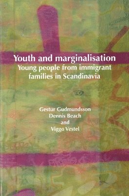 bokomslag Youth And Marginalisation