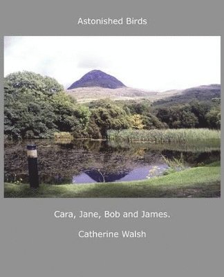 Astonished Birds Cara, Jane, Bob and James.