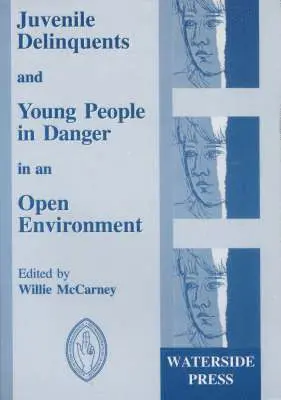William McCarney - Juvenile Delinquents and Young People in Danger in an Open Environment, Häftad. Tillgänglighet: Lägg i varukorg