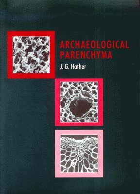 Archaeological Parenchyma 1
