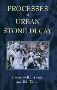 bokomslag Processes of Urban Stone Decay