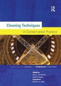 bokomslag Cleaning Techniques in Conservation Practice