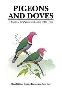 bokomslag Pigeons and Doves