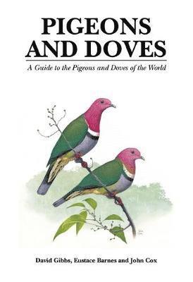 David Gibbs - Pigeons and Doves, Inbunden