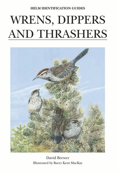David Brewer - Wrens, Dippers and Thrashers, Inbunden