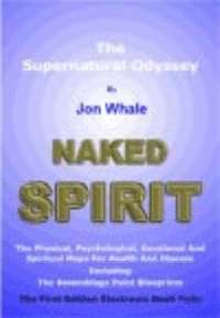 bokomslag Naked Spirit