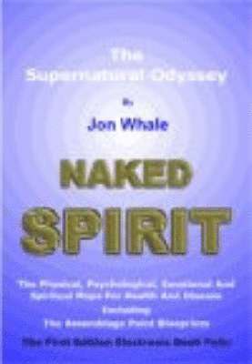 bokomslag Naked Spirit