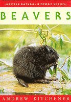 Beavers
