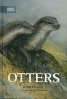 bokomslag Otters