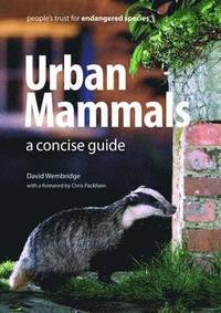 bokomslag Urban Mammals