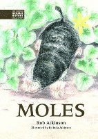 bokomslag Moles