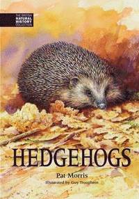 bokomslag Hedgehogs