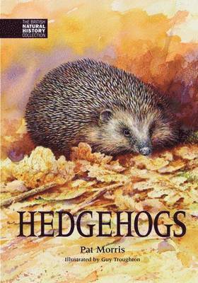 Hedgehogs 1