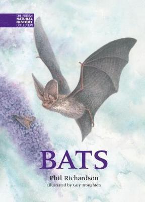 Phil Richardson - Bats, Inbunden