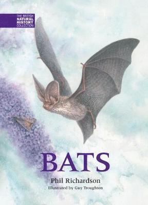 Bats 1