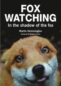 bokomslag Fox Watching