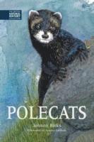 bokomslag Polecats