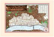 bokomslag Great Fire of London Map 1666