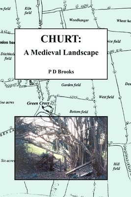Churt: A Medieval Landscape 1