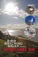 bokomslag Birdwatching Walks Around Morecambe Bay