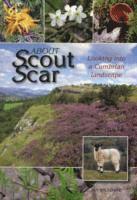 bokomslag About Scout Scar