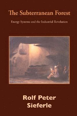 Rolf Peter Sieferle - Subterranean Forest, Häftad