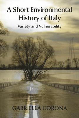 bokomslag Short Environmental History of Italy