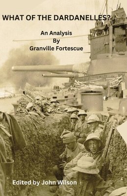 Granville Fortescue, John Wilson - WHAT OF THE DARDANELLES?, Häftad