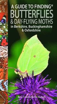 bokomslag A Guide to Finding Butterflies and Day-Flying Moths in Berkshire, Buckinghamshire and Oxfordshire