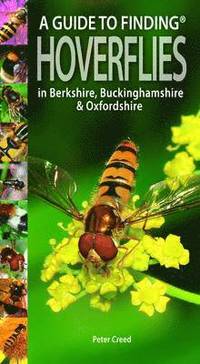 bokomslag A Guide to Finding Hoverflies in Berkshire, Buckinghamshire and Oxfordshire