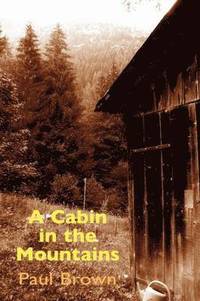 bokomslag A Cabin in the Mountains