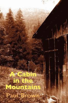 A Cabin in the Mountains 1