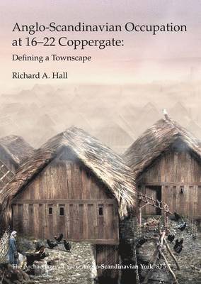 Anglo-Scandinavian Occupation at 16-22 Coppergate