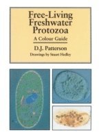 bokomslag Freeliving Freshwater Protozoa