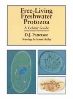 David J. Patterson, Stuart Hedley - Freeliving Freshwater Protozoa, Häftad