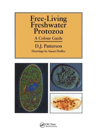 David J. Patterson, Stuart Hedley, Australia) J. Patterson, David (Professor of Zoology, University of Sydney - Freeliving Freshwater Protozoa, Häftad