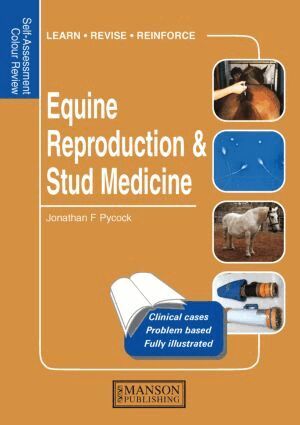 Jonathan Pycock - Equine Reproduction & Stud Medicine, Häftad