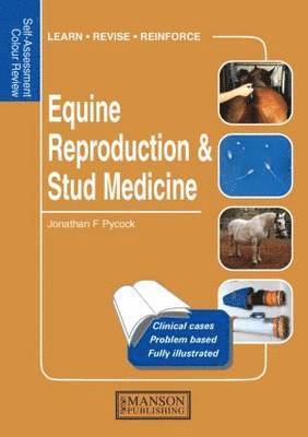 bokomslag Equine Reproduction & Stud Medicine