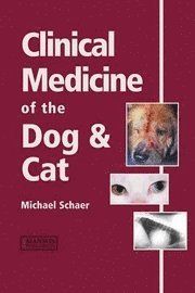 bokomslag Clinical Medicine Of The Dog And Cat