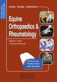 bokomslag Equine Orthopaedics and Rheumatology
