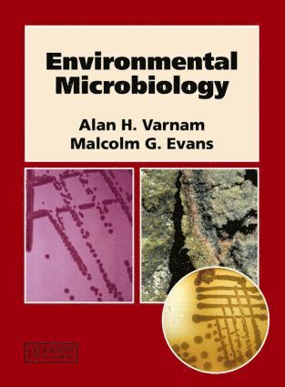 bokomslag Environmental Microbiology