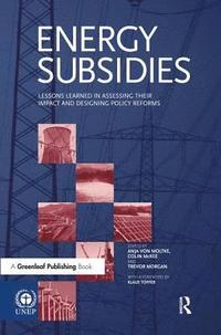 bokomslag Energy Subsidies