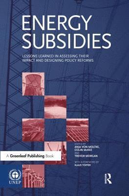 bokomslag Energy Subsidies