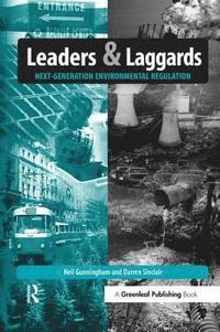 bokomslag Leaders and Laggards
