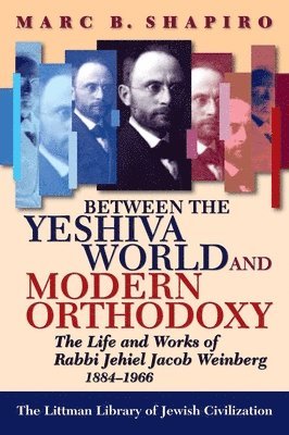 bokomslag Between the Yeshiva World and Modern Orthodoxy