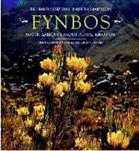 bokomslag Fynbos: South Africas Unique Floral Kingdom