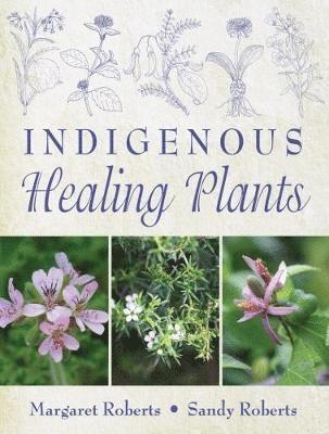 Indigenous healing plants 1