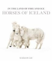 bokomslag Horses Of Iceland