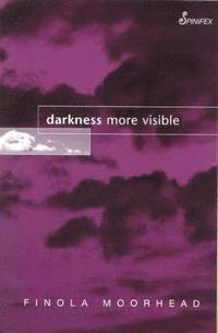 bokomslag Darkness More Visible